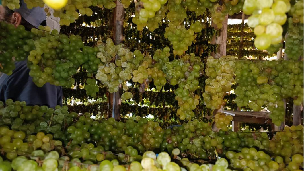 Konya’da yüz yıllardır süren bir gelenek: Üzüme farklı bir lezzet katıyor 1